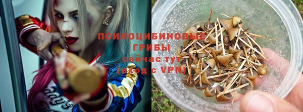 бошки Богданович