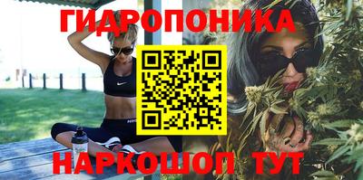 шишки Туймазы