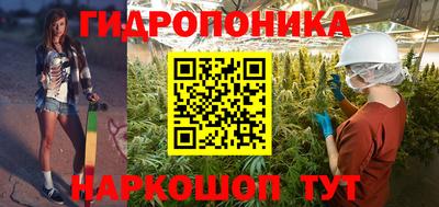 шишки Туймазы