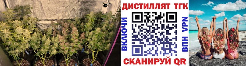 Дистиллят ТГК вейп  дарнет шоп  маркетплейс клад  Улан-Удэ 