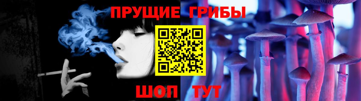 Улан-Удэ  Псилоцибиновые грибы прущие грибы  Вход с VPN  Галлюциногенные грибы GOLDEN TEACHER 